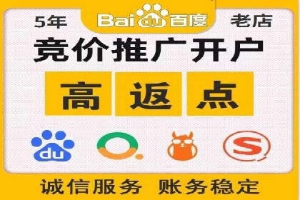SEM运营推广策略：成功案例解析